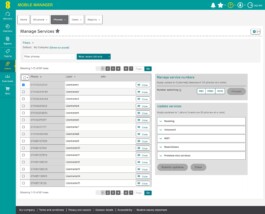 Network features panel with features grouped into Roaming, Voicemail, Wi-fi, Restrictions and Premium rate services 