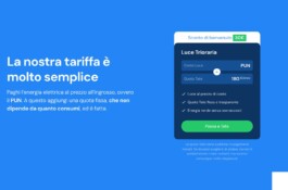 Pagina tariffe: La nostra tariffa è molto semplice, con la scheda della tariffa Luce Trioraria 